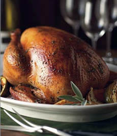 Happy Thanksgiving