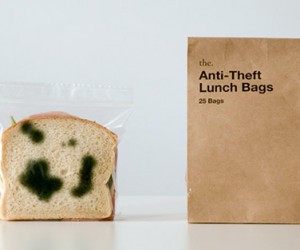 Anti-Theft Lunch Bags