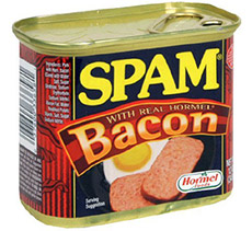 SPAM Classic Luncheon Meat with Bacon