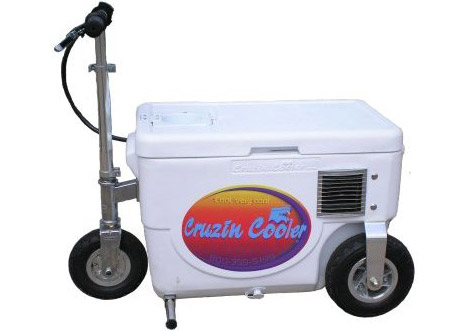 Cruzin Cooler 50-Series 500-Watt Electric Scooter