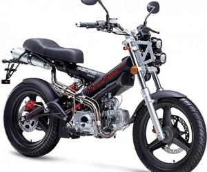 Sachs MadAss 125