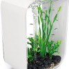 biOrb Life Aquarium