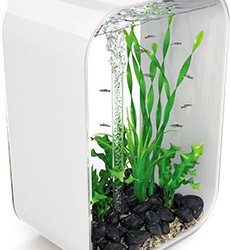 biOrb Life Aquarium