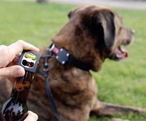 Bark 4 Beer Dog Collar Bottle Opener