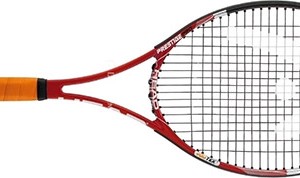 Head Youtek Prestige Pro