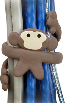 Cable Monkey