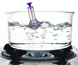 Boil Buoy
