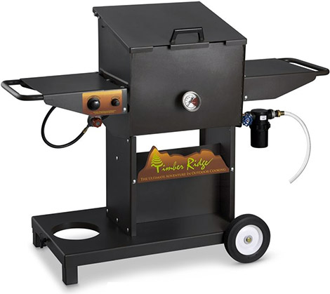 Timber Ridge Backyard Host Deep Fryer