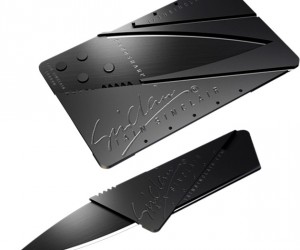 Iaian Sinclair CardSharp