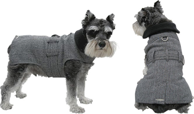 Wall Street Dog Trench Coat