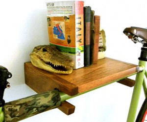 Urban City Bike Shelves