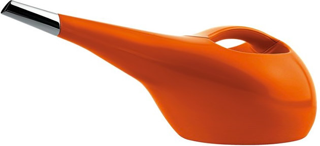 Kiwi Watering Can
