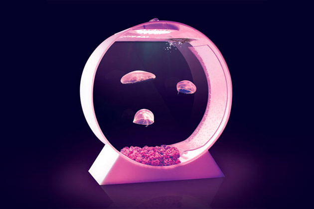 Desktop Jellyfish Tank