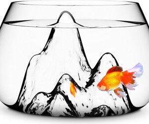 Fishcape Fishbowl