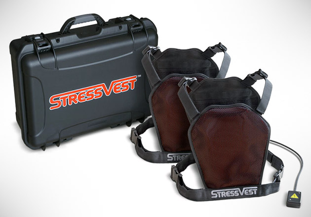 StressVest