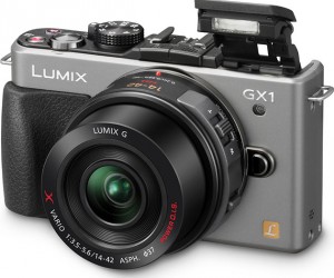 Panasonic Lumix DX1