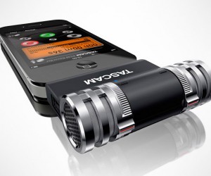 Tascam iM2 Stereo Mic