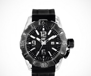 Cat Ranger Watch