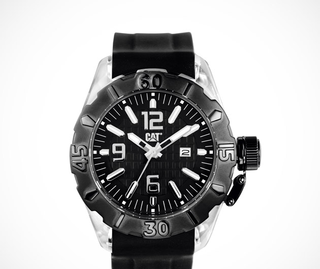 Cat Ranger Watch