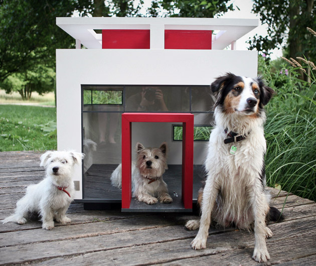 Dog Mansions