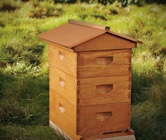 Backyard Beehive Starter Kit
