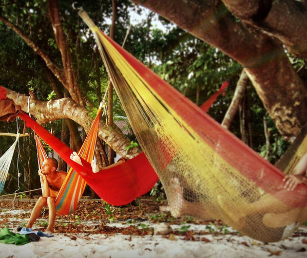Yellow Leaf Hammock