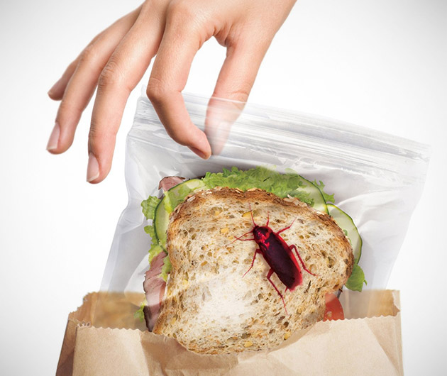 Fred and Friends Lunch Bags
