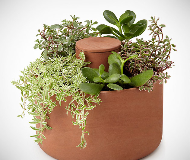 Joey Roth Self-Watering Planter