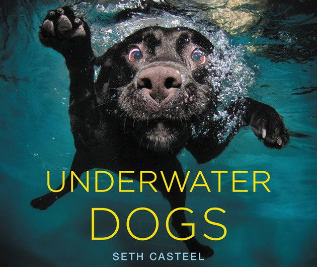 Underwater Dogs