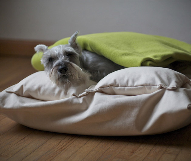 chico-dog-beds