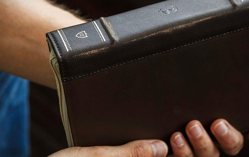 BookBook Travel Journal