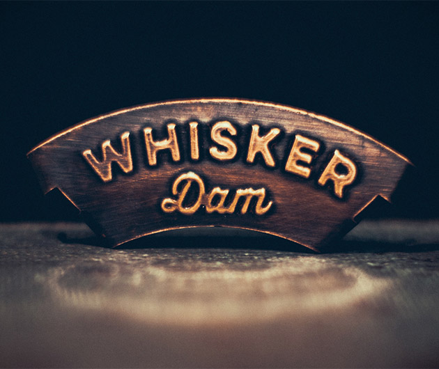 whisker-dam-02