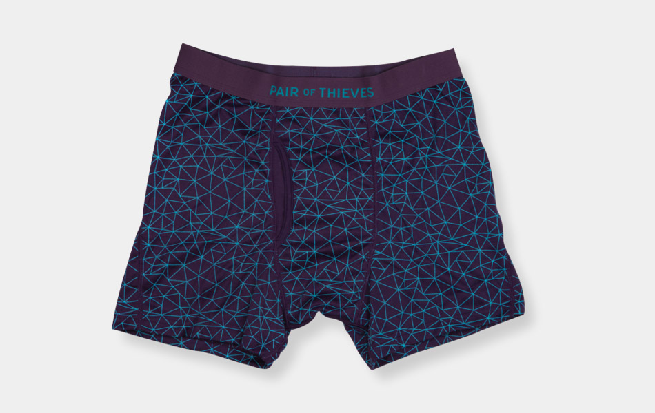 pair-of-thieves-underpants