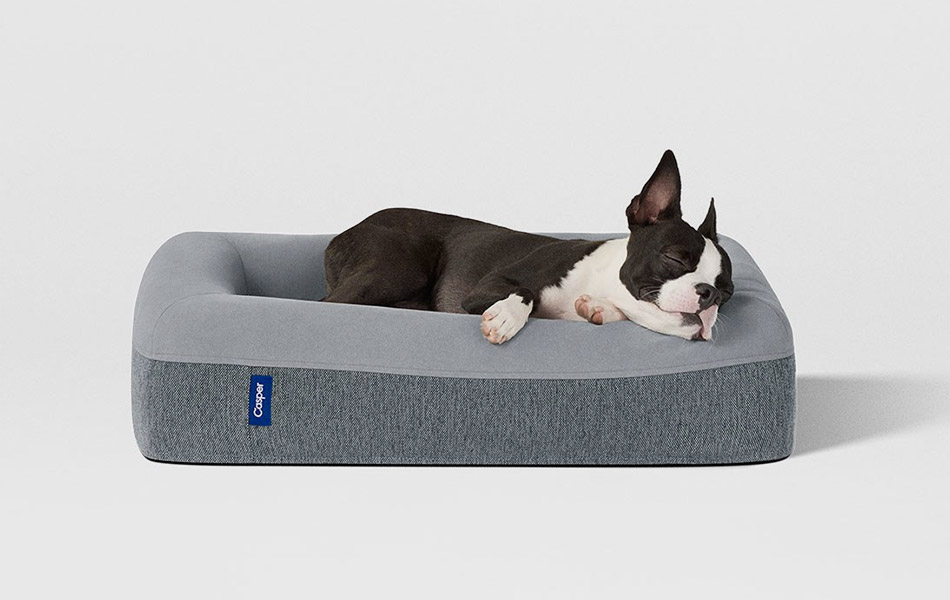 casper-dog-mattress